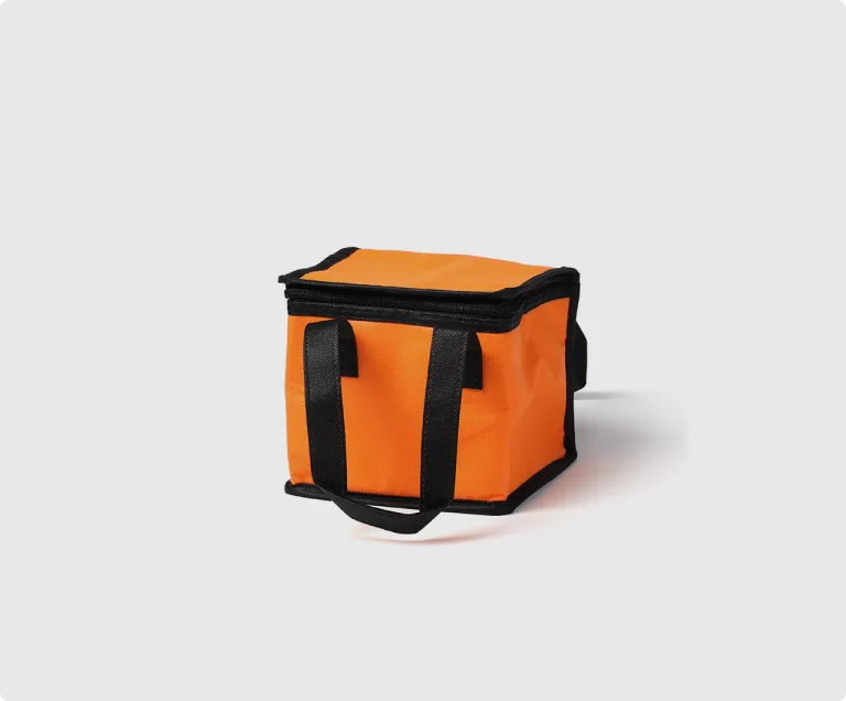 Insulated Cooler Backpacks