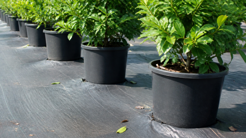 Mulch and Nursery Fabric