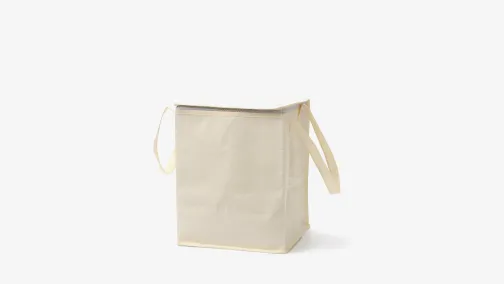 Laminated Luxury Retail Box Bags