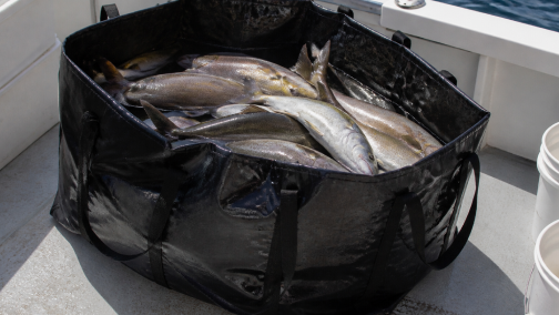 Boat and Offshore Kill Bag