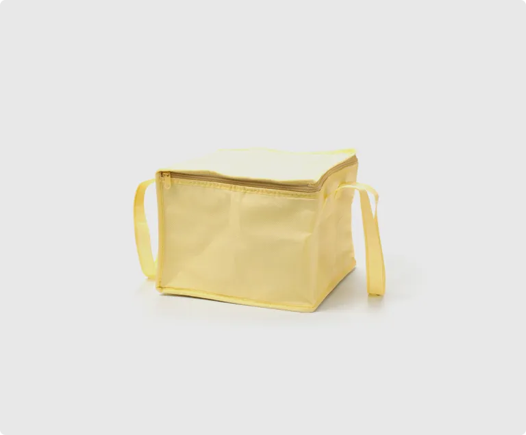 Picnic & Beach Cooler Bags