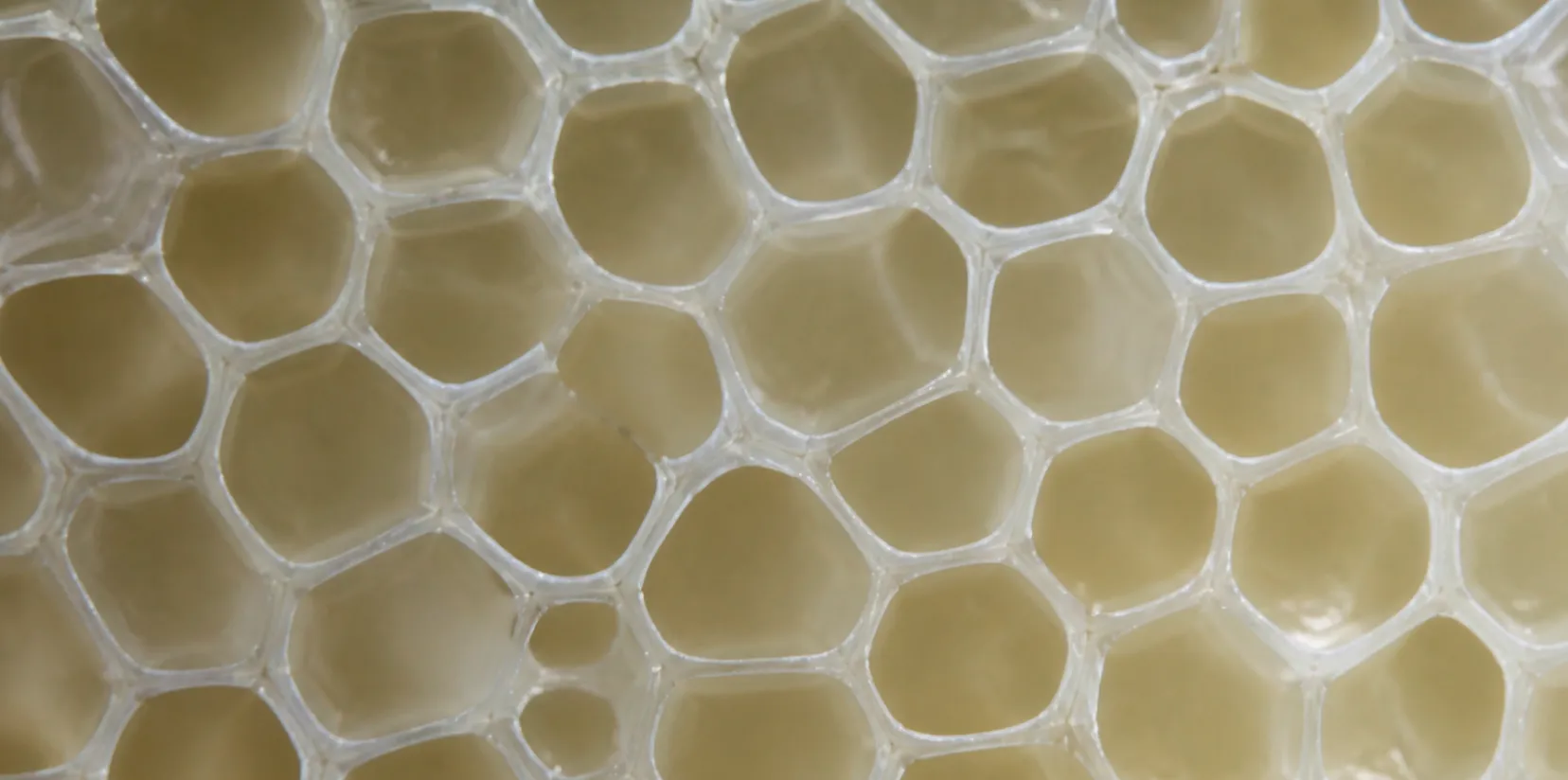 rectangle_564_2x.webp